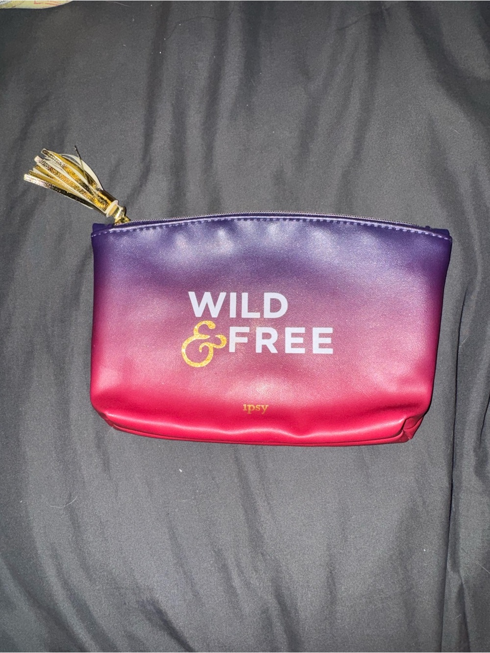 ipsy Ombre Cosmetic Pouch in Purple and Pink with Gold Tassel
